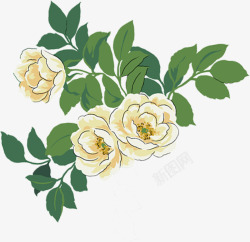 手绘白色花卉婚庆卡片素材