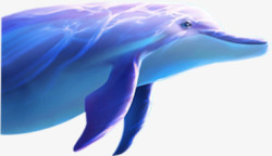 深海鲸鱼海洋素材