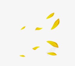 花草元素效果元素花瓣黄色素材