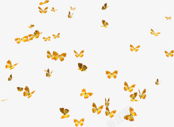 一群飞舞的黄色蝴蝶素材