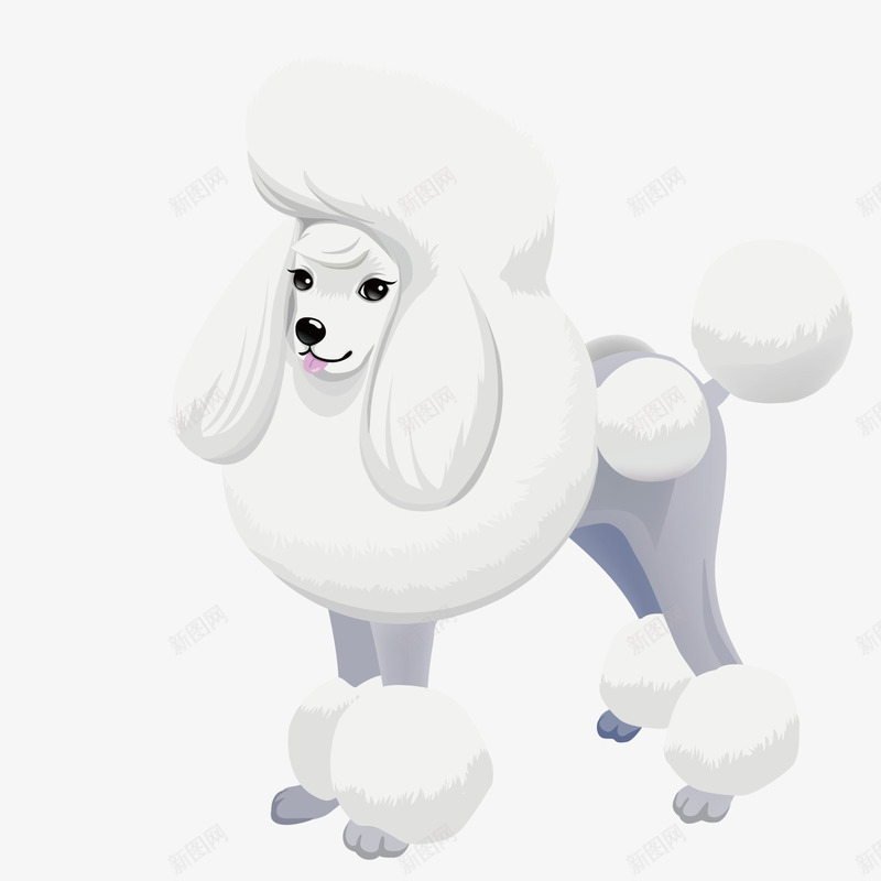 德国贵宾犬png免抠素材_88icon https://88icon.com 宠物狗 德国 白色贵宾犬 贵宾犬