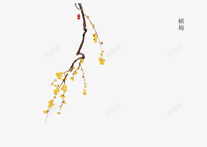 黄色腊梅png免抠素材_88icon https://88icon.com 枝干 植物背景 腊梅花 装饰 黄色 黄色腊梅花