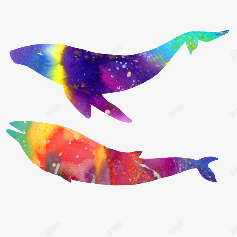 两头彩色鲸鱼png免抠素材_88icon https://88icon.com 动物 大鱼 彩色 文艺 水彩风 鲸鱼