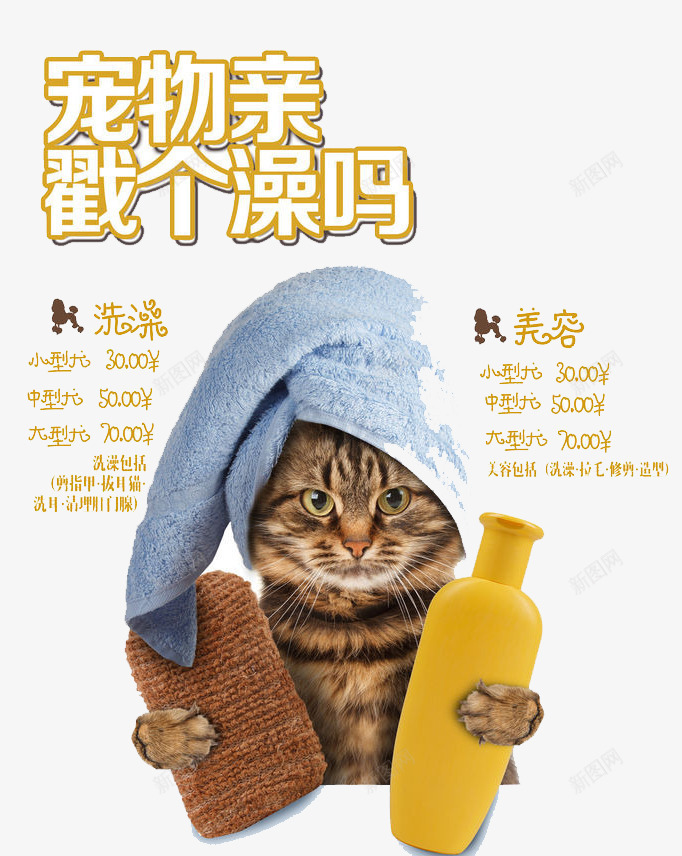 宠物洗澡png免抠素材_88icon https://88icon.com 动物 宠物店 小猫 洗澡 猫洗澡 美容