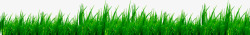 绿色草地植物装饰卡通素材