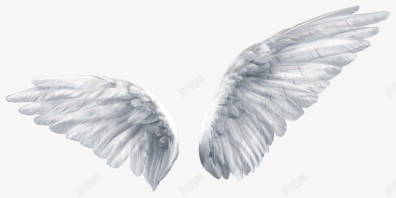 天使翅膀png免抠素材_88icon https://88icon.com 天使与魔鬼 天使羽翼 洁白的翅膀 淘宝素材 翅膀