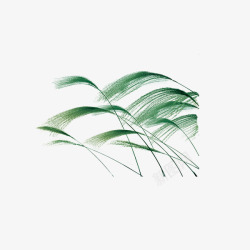 绿草芦苇彩绘芦苇高清图片