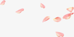 粉色花瓣婚庆背景素材