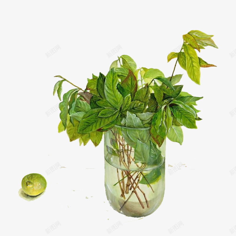插在花瓶里的一撮绿叶png免抠素材_88icon https://88icon.com 景色 精致 绿叶 花瓶