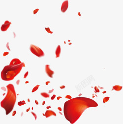 不规则大小红色玫瑰花漂浮花瓣素材