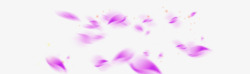 紫色唯美花瓣飘落素材
