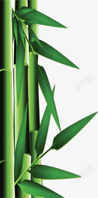 绿色卡通清新竹子竹叶素材
