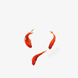 红色小鱼金鱼高清图片