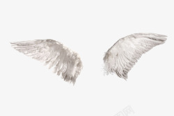 实物简图天使的翅膀实物图高清图片