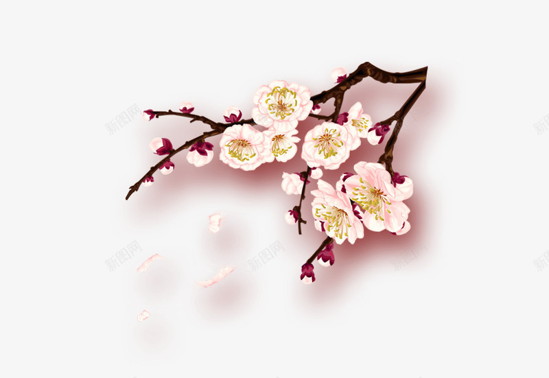 梅花新年png免抠素材_88icon https://88icon.com 年货街 新年 梅花