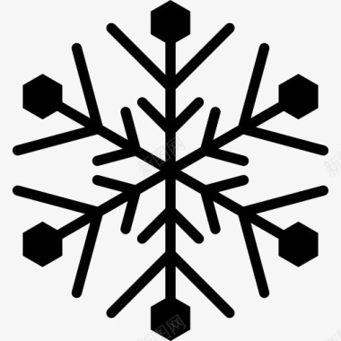 冬天冷Snowflake图标图标