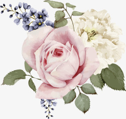 粉红花卉装饰画花卉高清图片