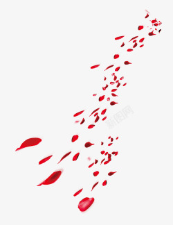 飞舞的花瓣素材