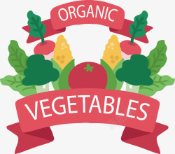 全国学生营养日绿色有机蔬菜高清图片