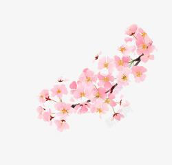 粉色盛开樱花素材