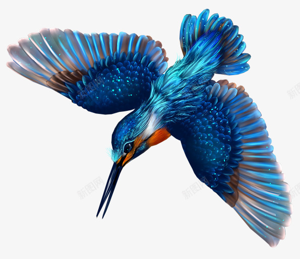 蓝色的蜂鸟png免抠素材_88icon https://88icon.com 蓝色 蜂鸟 鲜艳的颜色