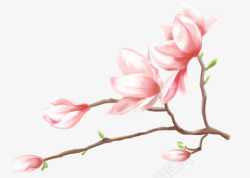 手绘古风粉色花朵桃花素材