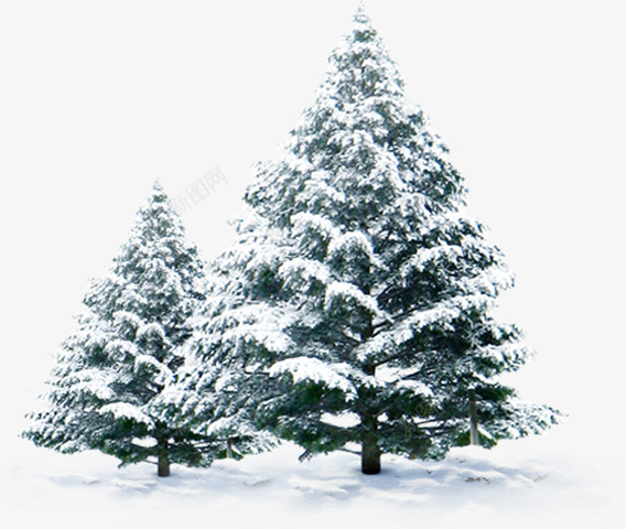 摄影创意合成效果冬天的圣诞树png免抠素材_88icon https://88icon.com 冬天 创意 合成 圣诞树 摄影 效果