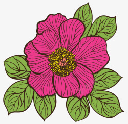 彩色手绘花卉素材