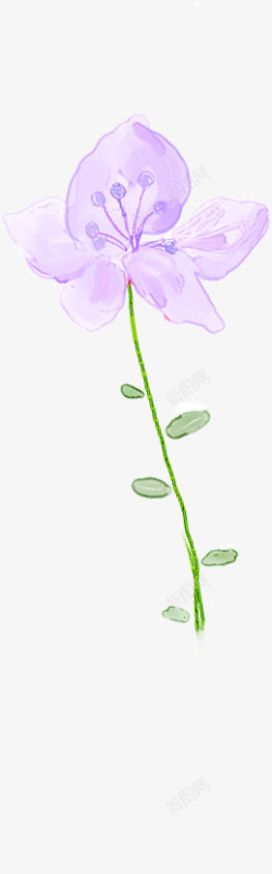 紫色淡雅花朵植物素材