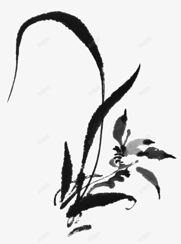 装饰兰草png免抠素材_88icon https://88icon.com 中国画 写意花草 国画小品 国粹 宣纸画 手绘花卉 美术插图 艺术作品 装饰花草