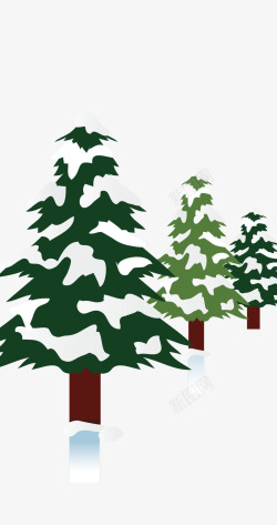绿色松柏积雪的树木高清图片