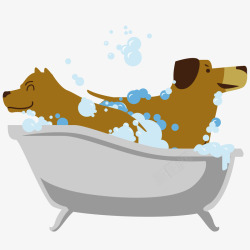 两只狗狗洗澡素材