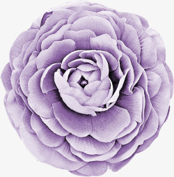 手绘创意紫色花苞中国花素材