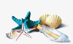 海星贝壳漂流瓶素材