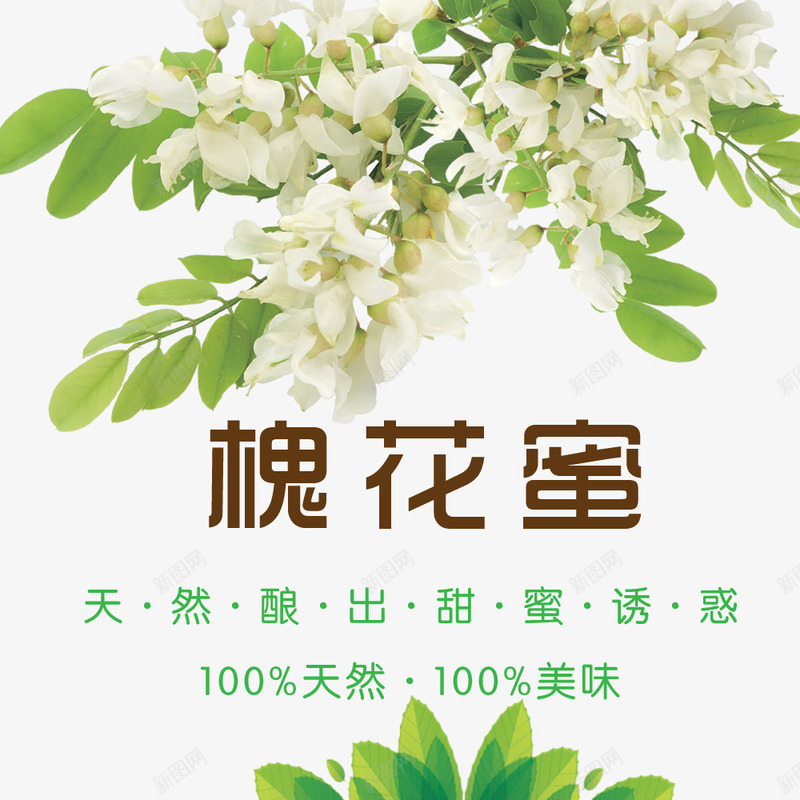 槐花蜜png免抠素材_88icon https://88icon.com 槐花 槐花蜜 淘宝详情 蜂蜜 蜂蜜详情 蜂蜜详情设计