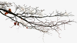 摄影冬天的树木雪花素材