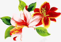 中国风油画花朵红花绿叶素材