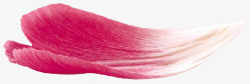 花瓣穗子图素材