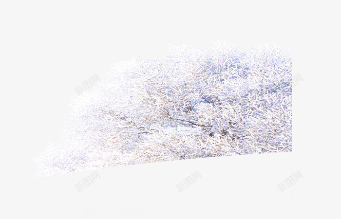 雪地树背景png免抠素材_88icon https://88icon.com 冬天 冬季 白色树 雪地装饰树 雪树