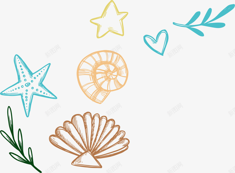 海洋生物海螺贝壳png免抠素材_88icon https://88icon.com 手绘 海星 海洋生物 海生生物 海螺 画画 贝壳