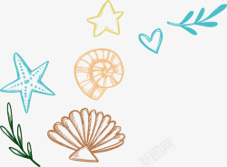 海洋生物海螺贝壳素材