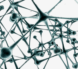 神经细胞连接图素材