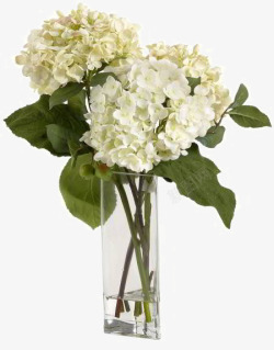 白色花卉装饰玻璃花瓶软装摆设素材