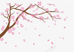 粉色樱花树飘落樱花高清图片