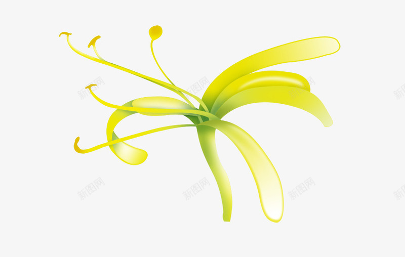 金银花png免抠素材_88icon https://88icon.com 花 金银花 食物