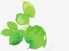 手绘春季绿色水彩树叶装饰素材