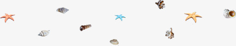 小海星小贝壳清新背景png免抠素材_88icon https://88icon.com 小贝壳 海星 清新 背景