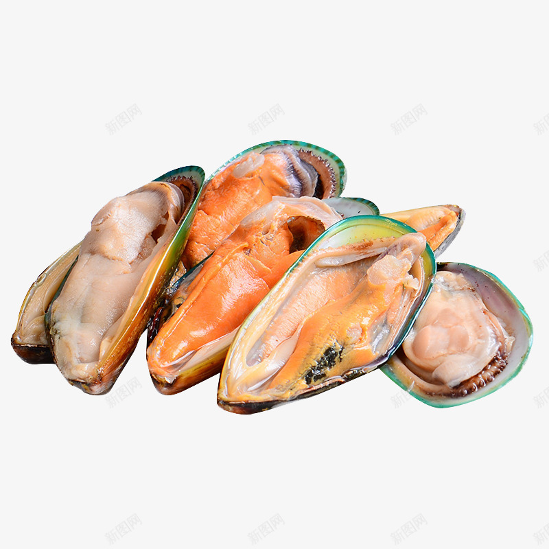六个扇贝png免抠素材_88icon https://88icon.com 产品实物 新鲜的扇贝 海鲜 贝类
