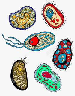 可爱彩色生物医学细胞手绘图素材