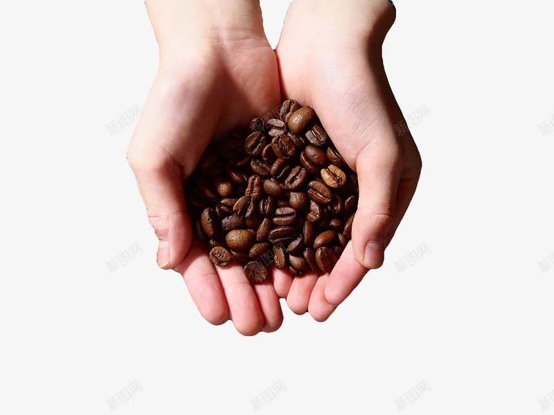手捧咖啡豆png免抠素材_88icon https://88icon.com 双手 咖啡 咖啡果实 咖啡源材料 咖啡豆 干果 烘焙 褐色